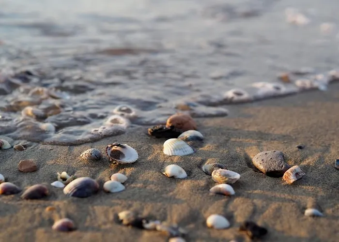 Enjoy The Sea View From Our Spacious Balcony *